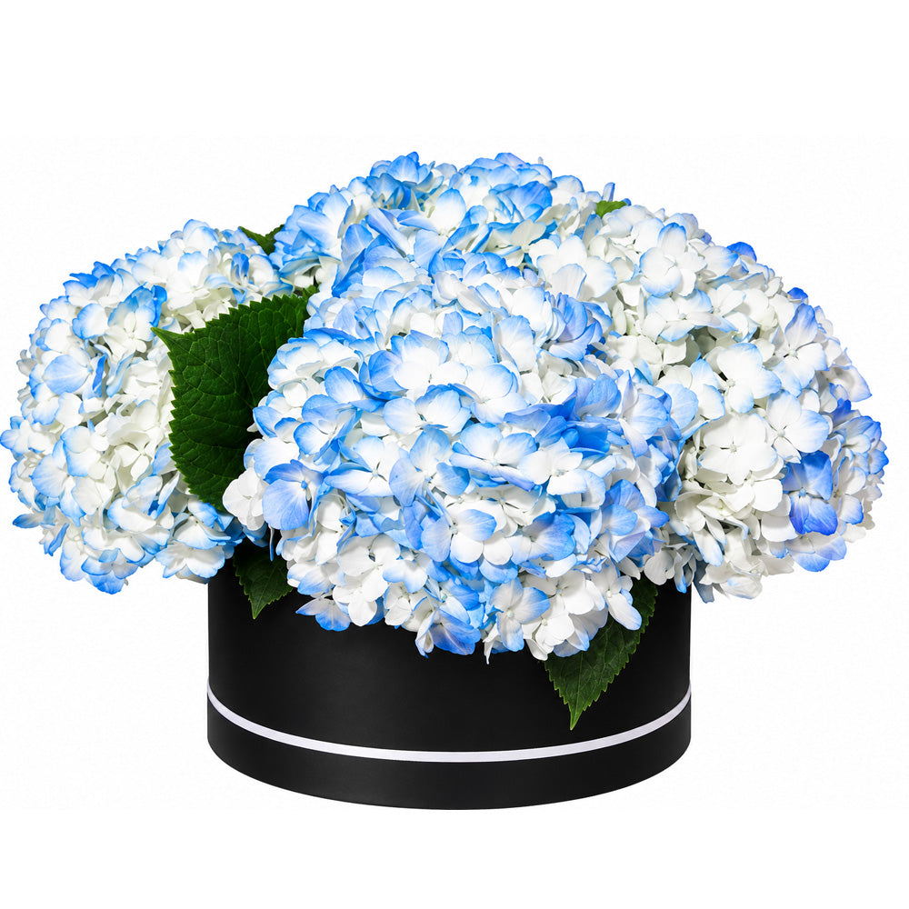 Blue Hydrangea Hatbox