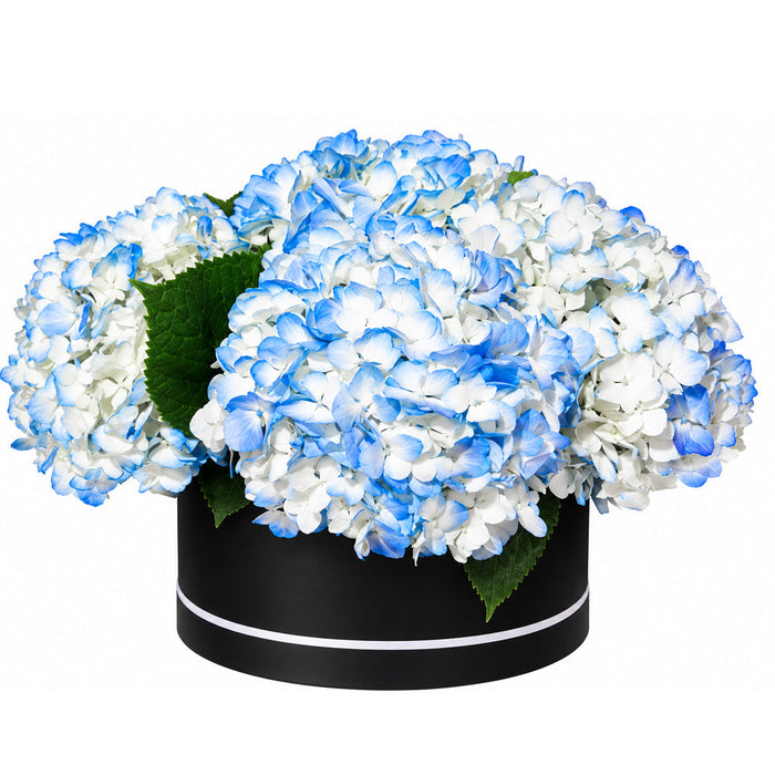 Blue Flowers