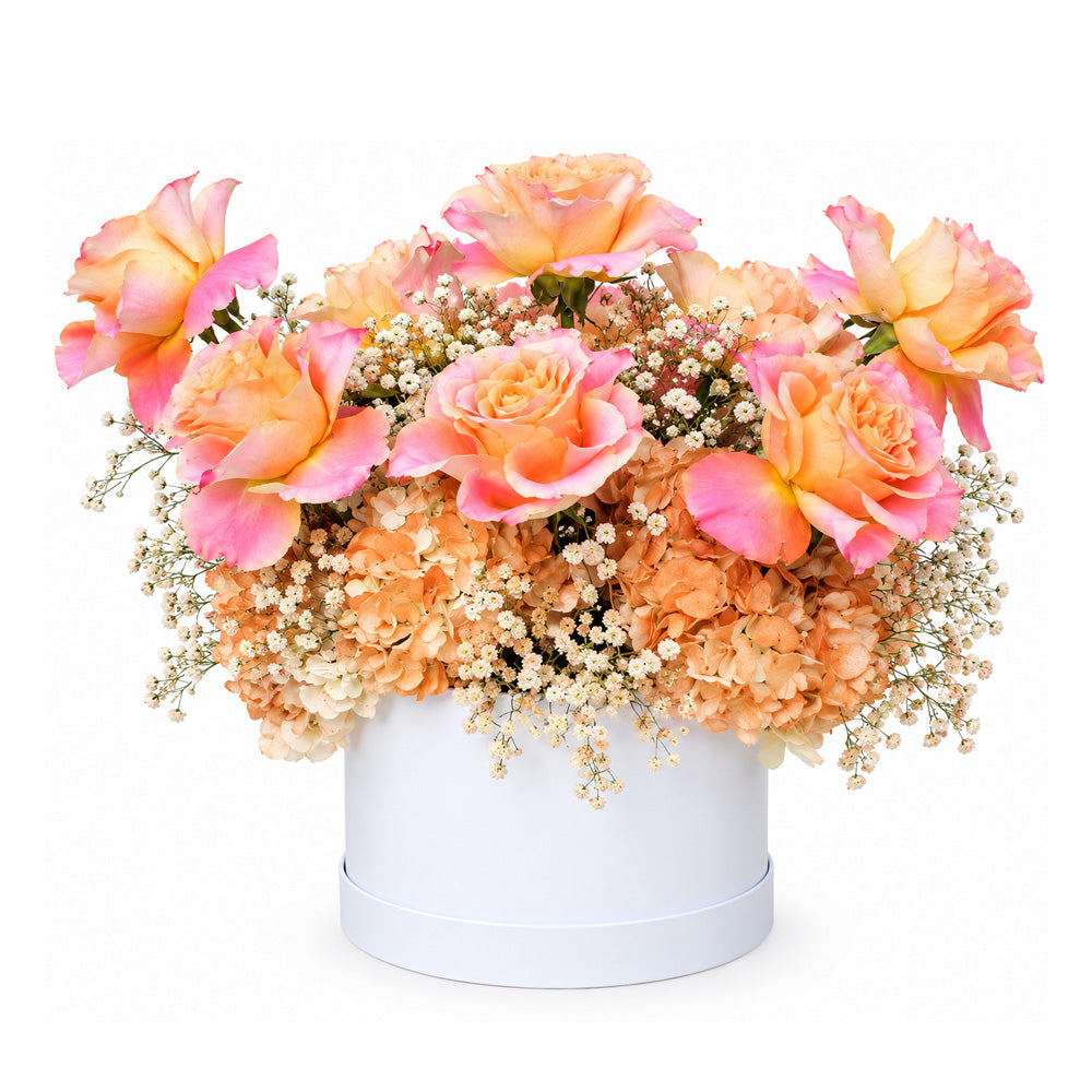 Peach Beauty in Cloud Hatbox
