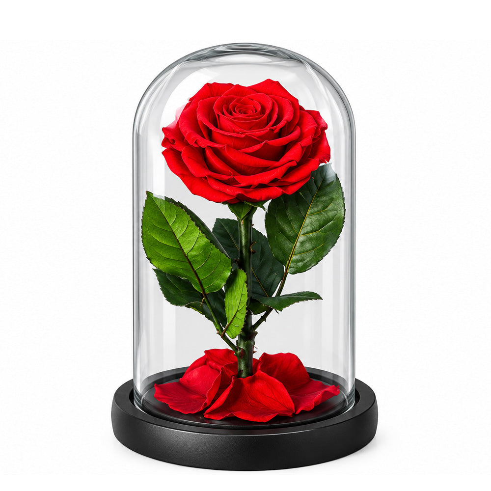 Red Rose Glass Dome