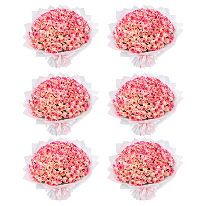 Pink Flowers
